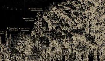 Map of Los Angeles vegetation by Evan Applegate.