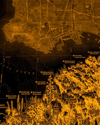 Map of Los Angeles vegetation by Evan Applegate.